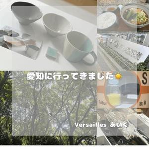 あいくの写メ日記｜ヴェルサイユ 吉原高級店ソープ