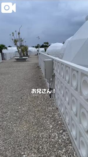 もえの写メ日記｜ヴェルサイユ 吉原高級店ソープ