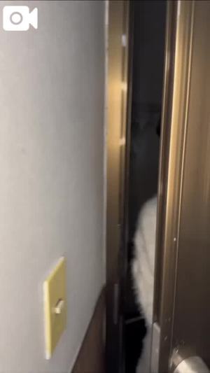 もえの写メ日記｜ヴェルサイユ 吉原高級店ソープ