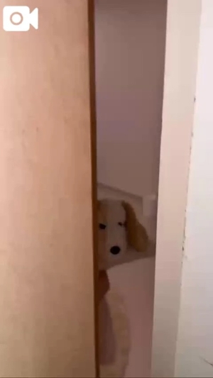 もえの写メ日記｜ヴェルサイユ 吉原高級店ソープ