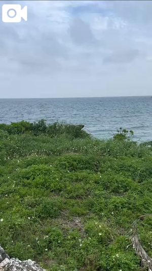 もえの写メ日記｜ヴェルサイユ 吉原高級店ソープ