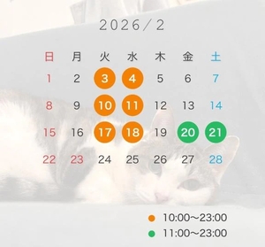 ゆいなの写メ日記｜ヴェルサイユ 吉原高級店ソープ