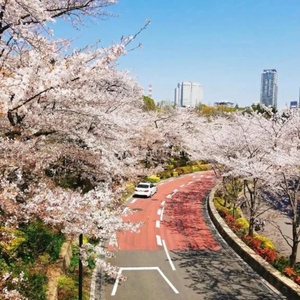 林田はなの写メ日記｜ヴェルサイユ 吉原高級店ソープ