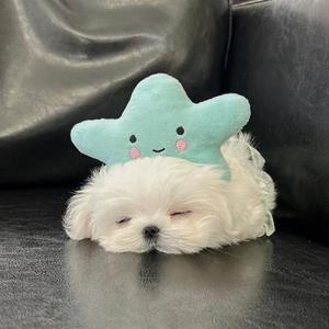 えりかの写メ日記｜ヴェルサイユ 吉原高級店ソープ