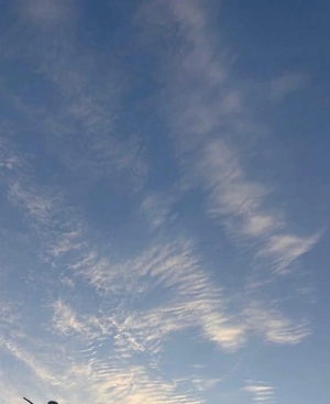 さとみの写メ日記|ヴェルサイユ 吉原高級店ソープ