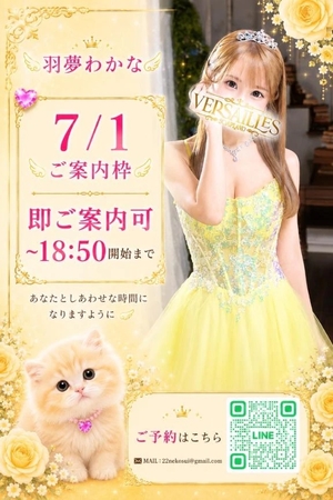 羽夢(はむ)わかなの写メ日記|ヴェルサイユ 吉原高級店ソープ