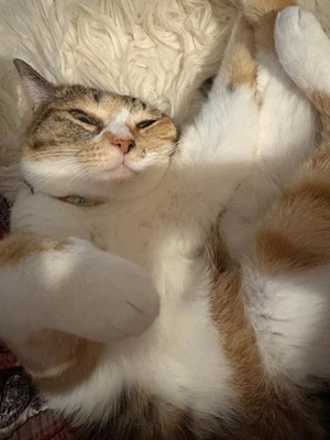 咲良の写メ日記｜ヴェルサイユ 吉原高級店ソープ