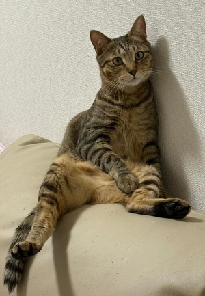 咲良の写メ日記｜ヴェルサイユ 吉原高級店ソープ