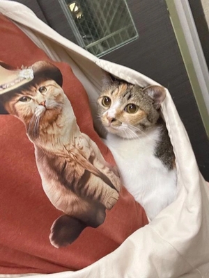 咲良の写メ日記｜ヴェルサイユ 吉原高級店ソープ