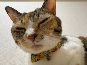 咲良の写メ日記｜ヴェルサイユ 吉原高級店ソープ