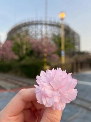 かれんの写メ日記｜鹿鳴館 吉原高級店ソープ
