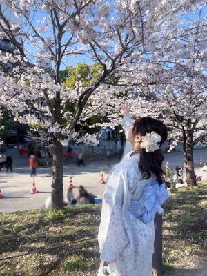 きいの写メ日記｜鹿鳴館 吉原高級店ソープ