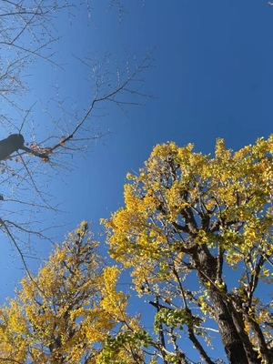 まこの写メ日記｜鹿鳴館 吉原高級店ソープ