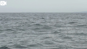 なつみの写メ日記｜鹿鳴館 吉原高級店ソープ