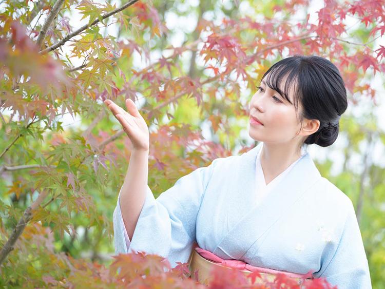 白藤のグラビア｜プレジデントクラブ 吉原高級店ソープ